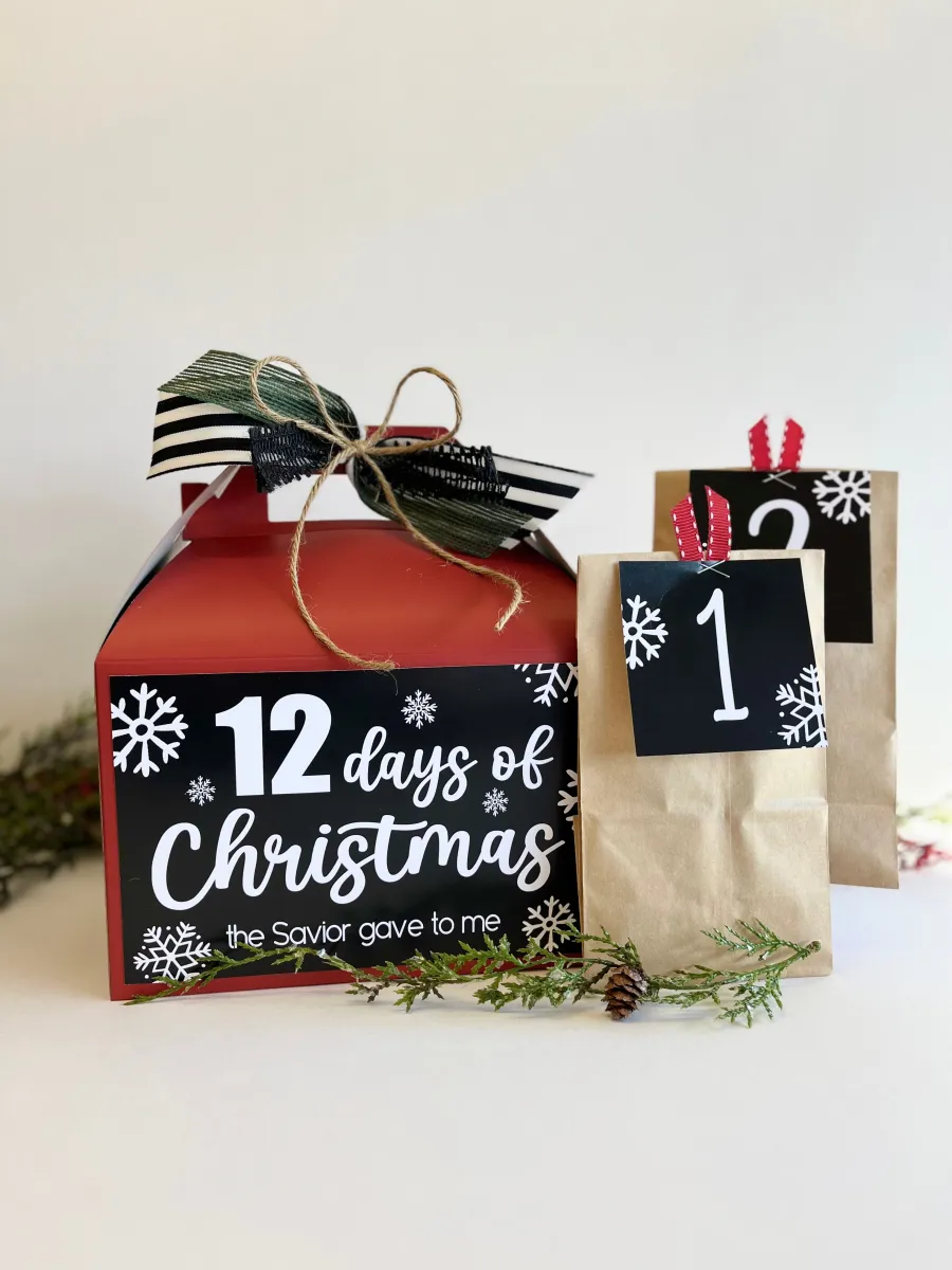 12 Days of Christmas Gift Ideas
