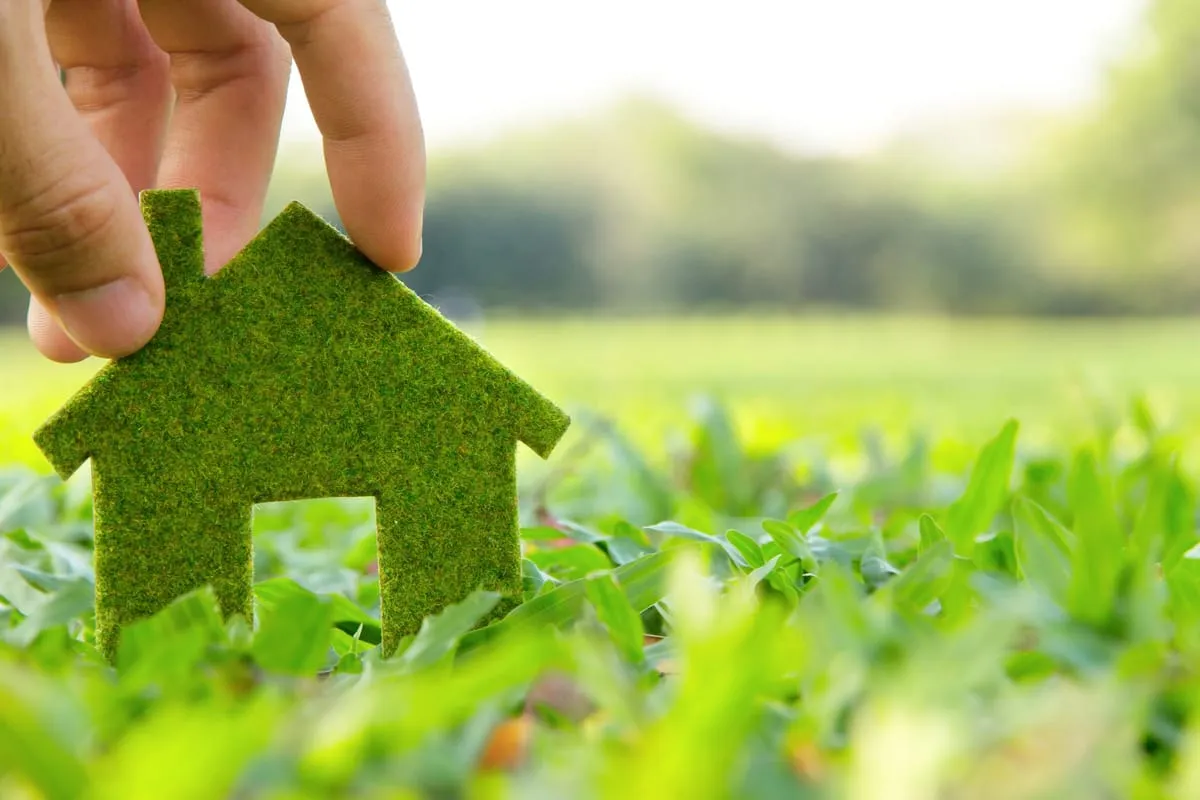 Eco-Friendly Design Tips for Renters