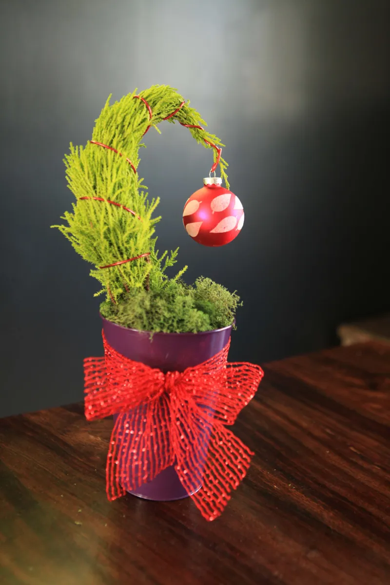 Grinch Christmas Home Decor Ideas
