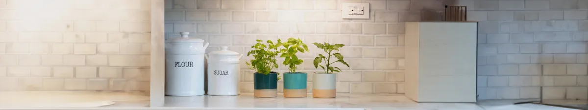 Indoor Garden Setup Essentials