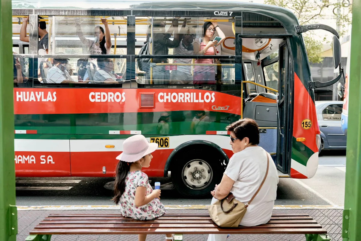 Peru Travel Transportation Logistics