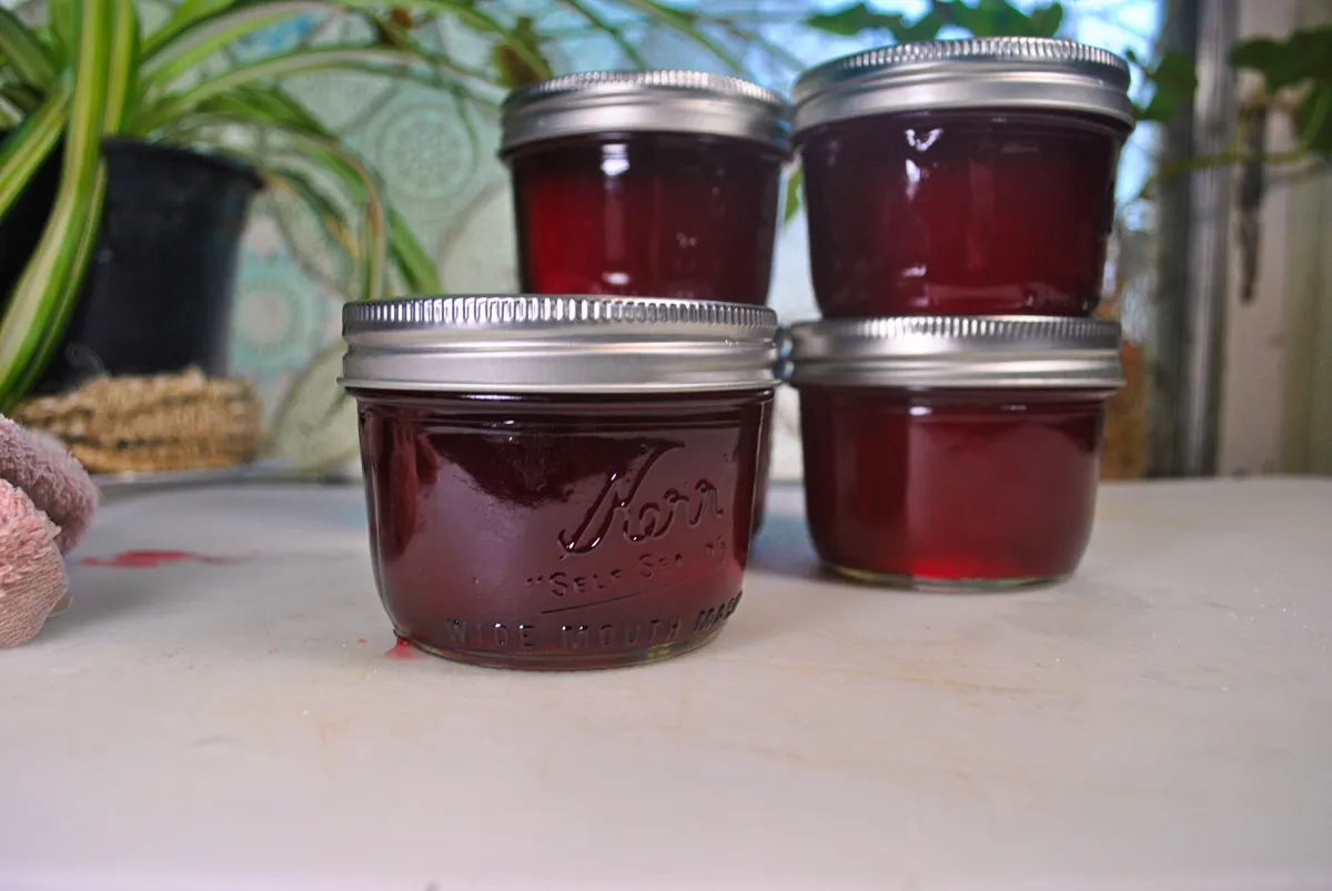 Plum Jelly Preparation Process