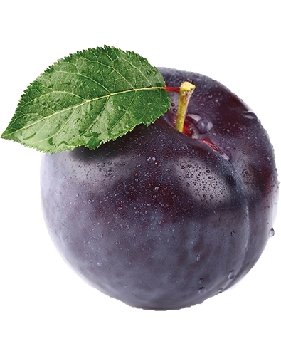 Plum Juice Extraction Process