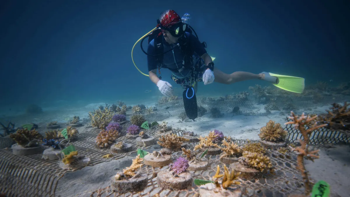 Sustainable Local Travel Experiences