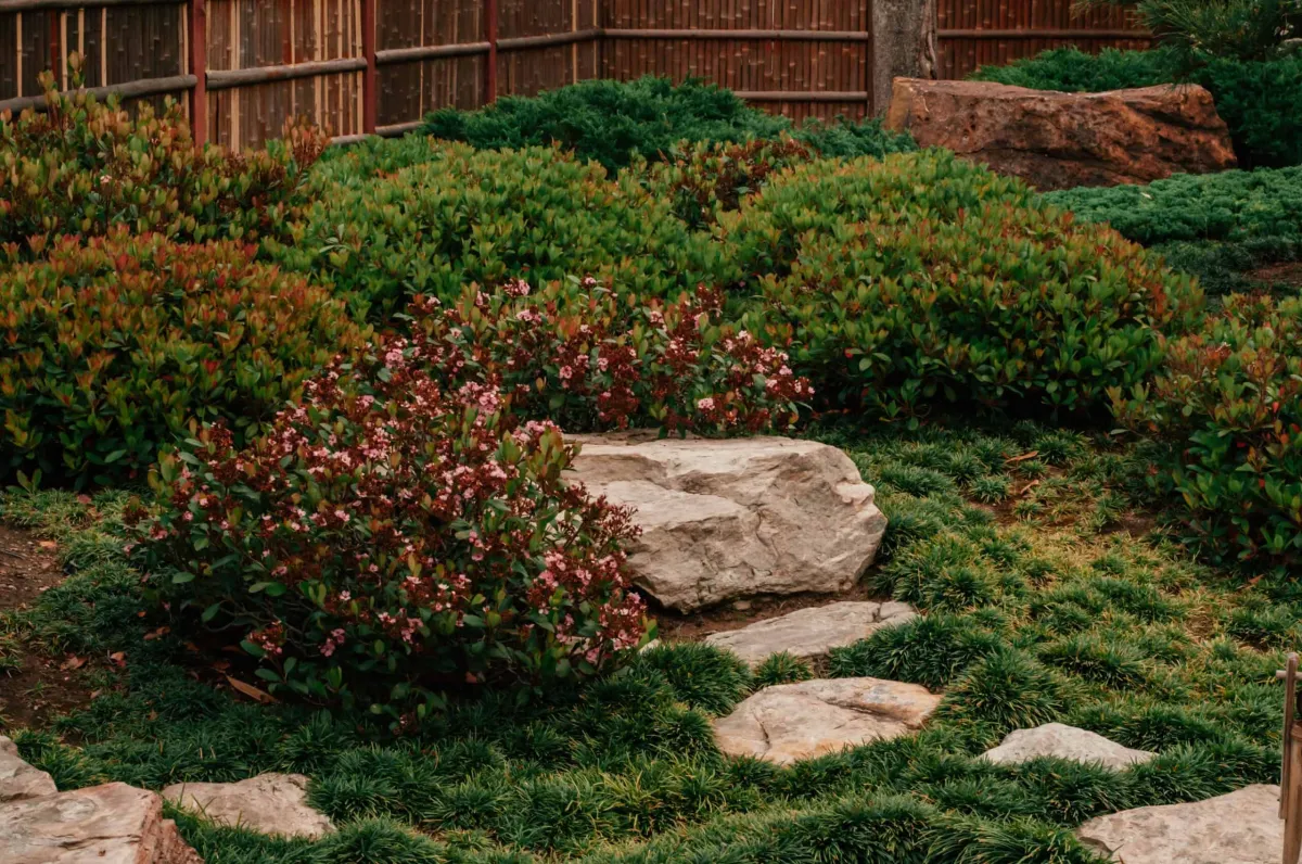 Zen garden plant selection guide